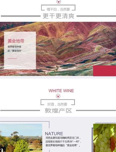 南山庄园葡萄酒（南山庄园葡萄酒怎么样）