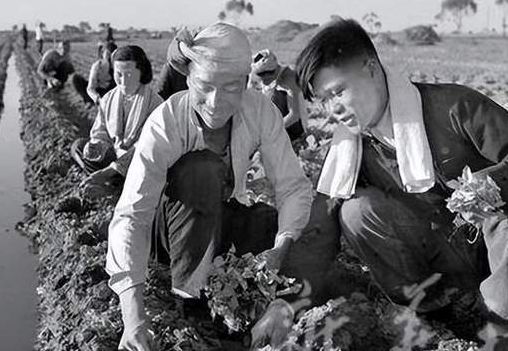 60年代农业第一次绿色革命（农业发展史上第一次革命）