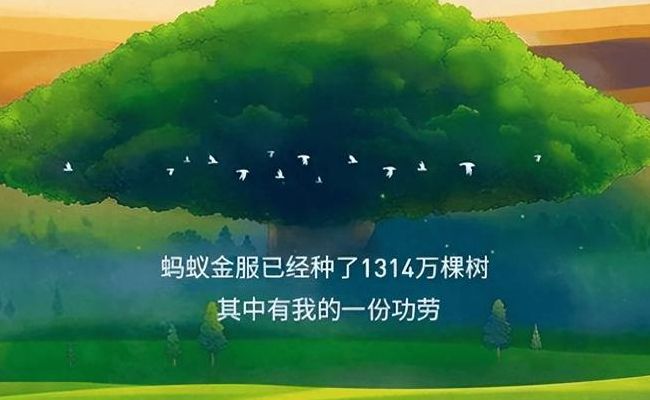 马云承诺每年种的1亿棵树怎么样了（马云种的树是什么树）