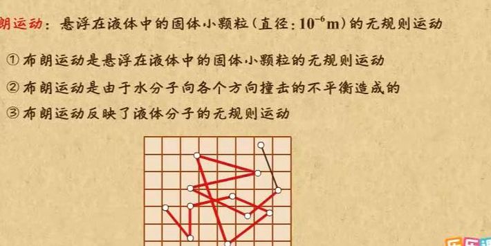 布朗粒子（布朗运动的原因）