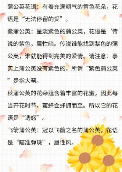 风中花语（风中花的句子）