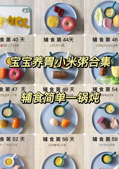 瘦肉小米粥的做法大全（瘦肉小米粥的做法宝宝辅食）
