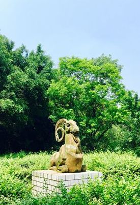 游手好闲打一动物（游手好闲打一动物生肖正确答案）