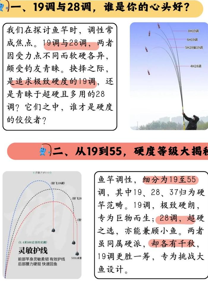 鱼竿19调和28调是什么意思（鱼竿19调跟28调的区别）