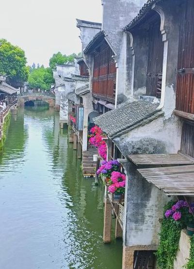 南浔古镇和乌镇哪个好（南浔古镇和乌镇哪个美）