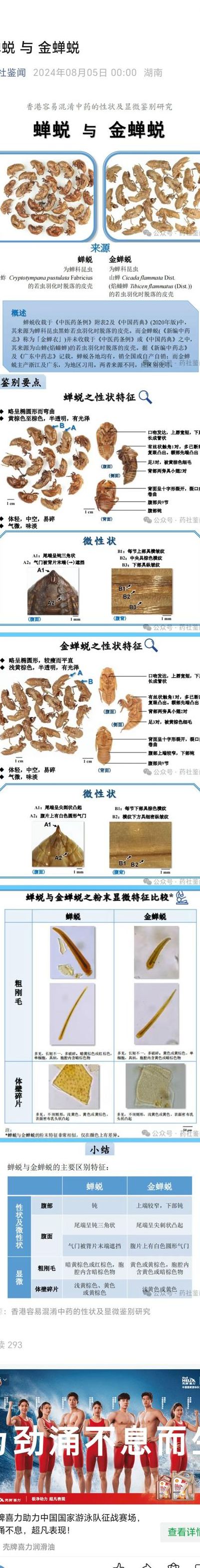 蝉蜕怎么读（蝉蜕怎么读音）
