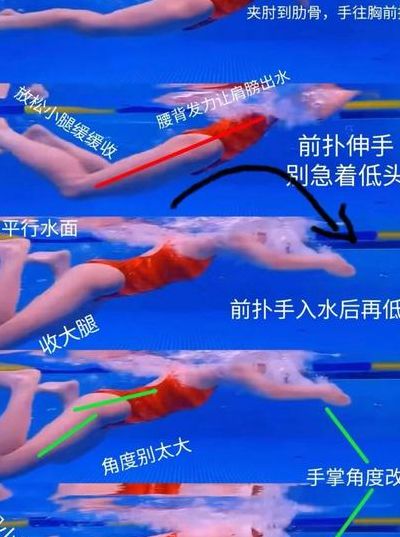 蛙泳游不快的原因（蛙泳游不快的原因分析）