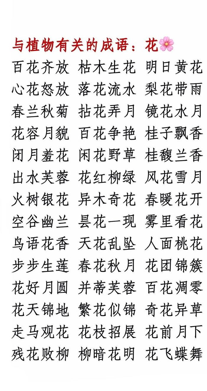 花朵又什么又什么（花朵又什么又什么的词语）