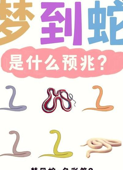 女人做梦梦见蛇好不好（女人做梦梦到蛇好不好? 已解决）