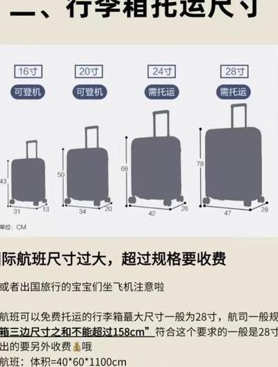 上飞机行李箱重量规定的简单介绍