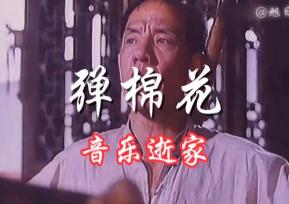 弹棉花是什么意思(弹棉花是什么意思男女)