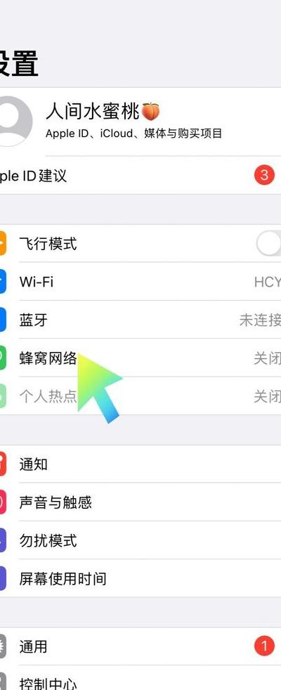 数据漫游要不要打开（自动登录wifi的app）