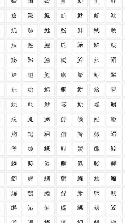 辶字旁的字与什么有关（辶字旁的字与什么有关系）