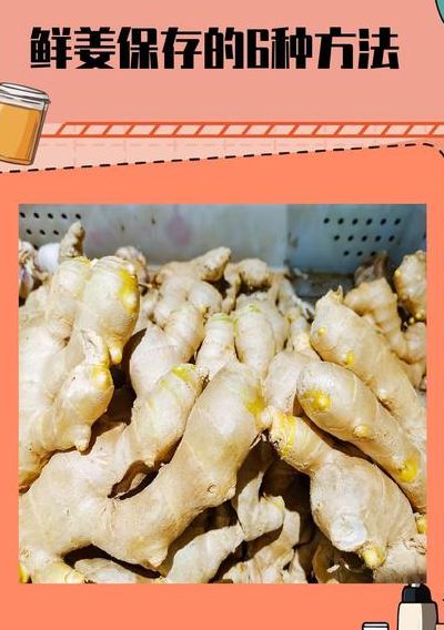 鲜姜怎么吃（鲜姜怎么吃法）
