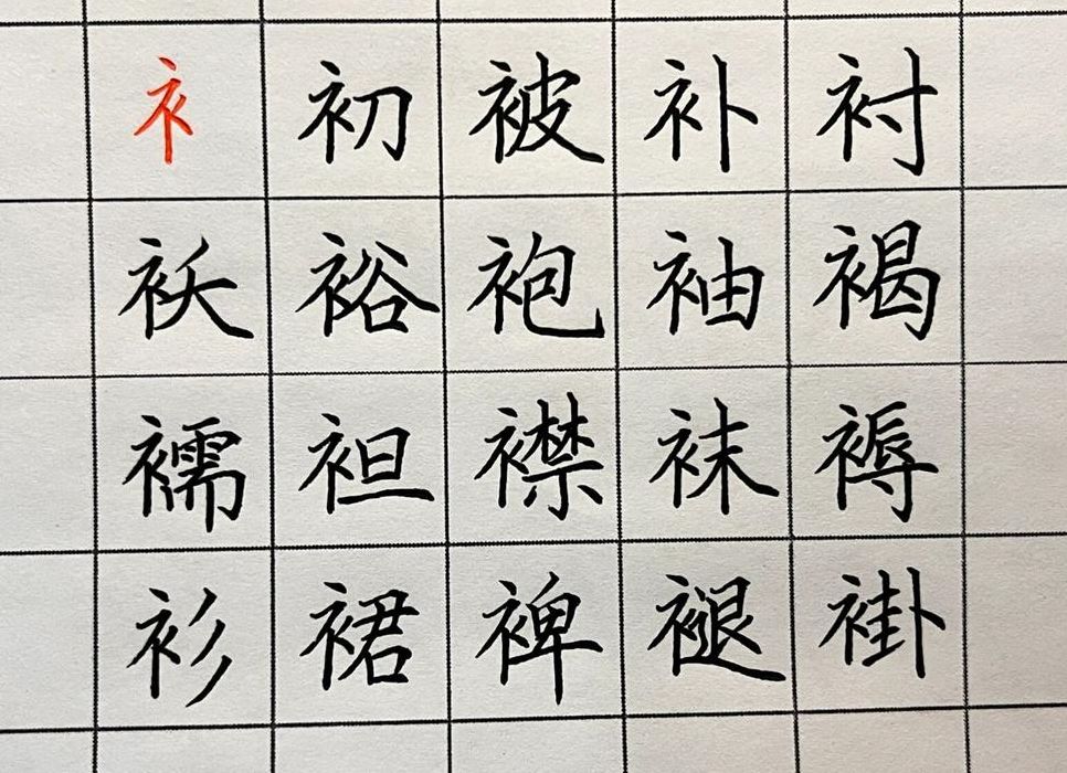衣字旁的字有哪些字字（衣字旁的有什么字?）