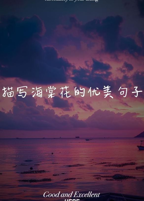 关于花的唯美意境句子（关于花的唯美语录）
