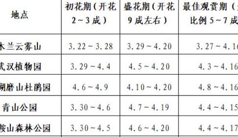 花的开放时间和名字（一天24小时花开放的顺序）