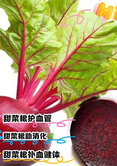 甜菜可以生吃吗（甜菜可以直接吃吗）