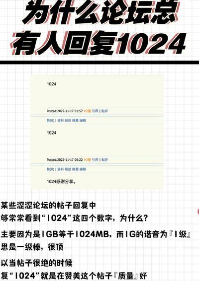 1024老司机啥意思（1024老司机是啥意思）