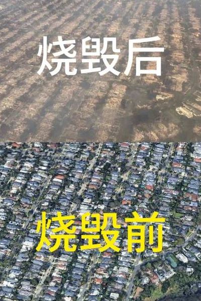 直接经济损失（洛杉矶大火直接经济损失）