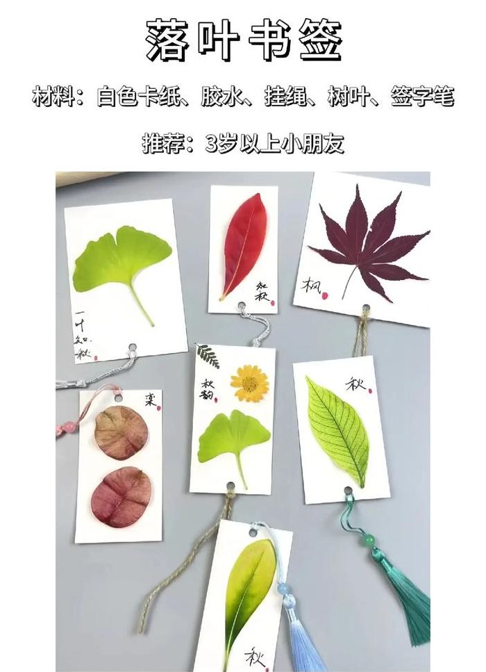 树叶书签制作方法（树叶书签制作方法视频）