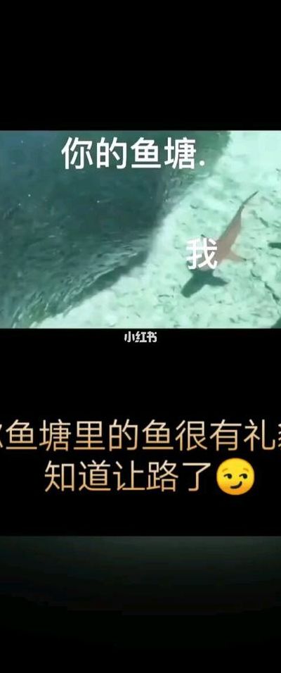 男的说养鱼塘什么意思（男生问女生养鱼塘么是什么意思）