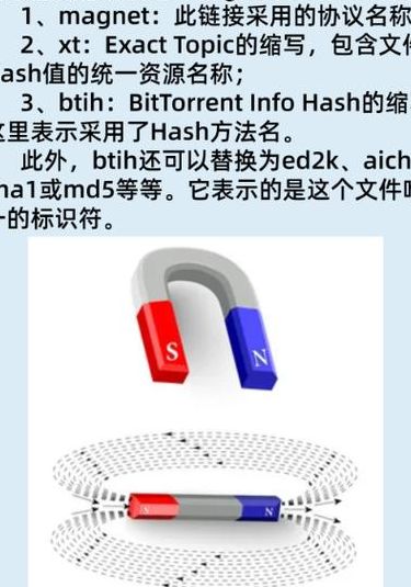 磁力链接前缀（磁力链的前缀是什么）