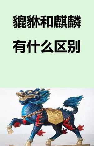 獬豸和貔貅的区别（獬豸和貔貅的区别是什么）