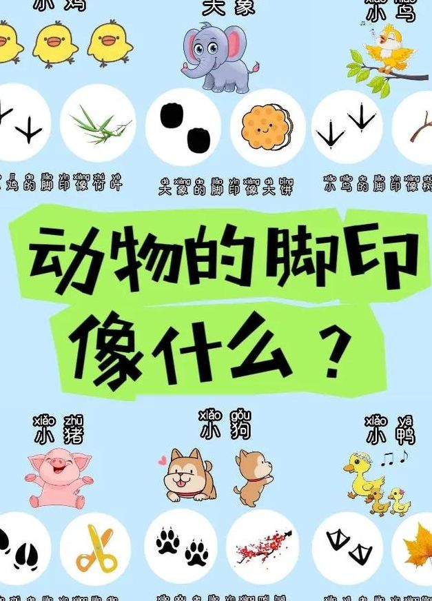 哪些动物的脚印像什么（什么动物的脚印像什么填空）