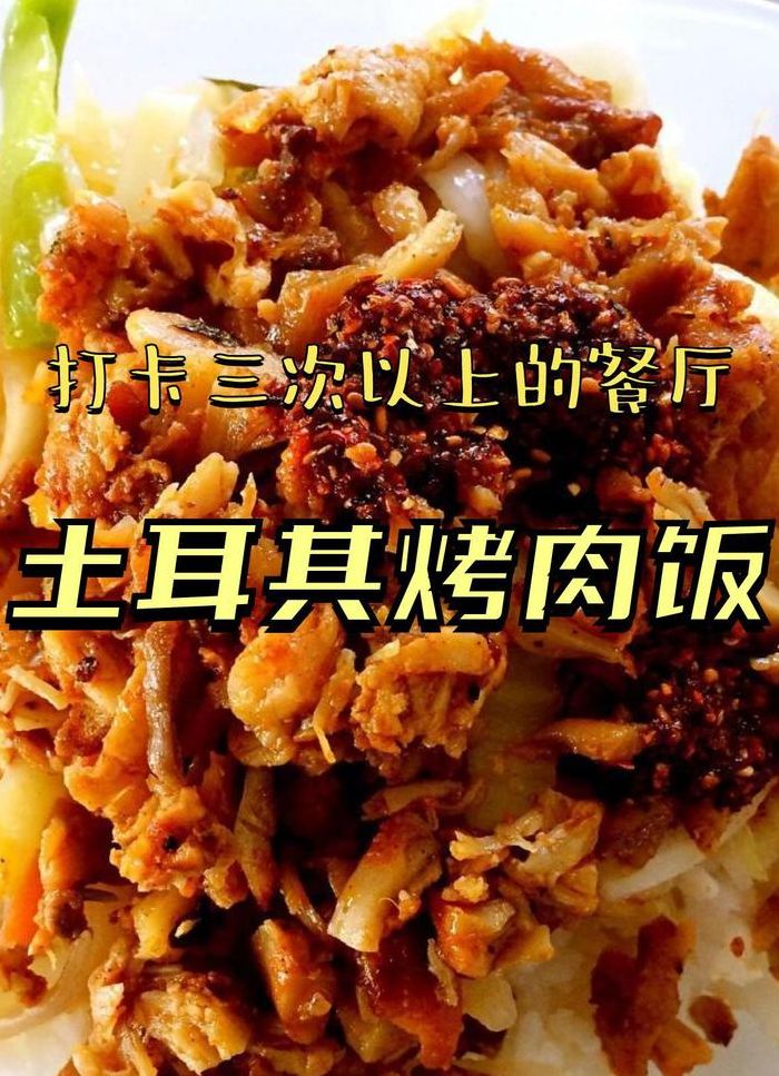 土耳其烤肉饭酱汁做法（土耳其烤肉饭酱汁做法大全）