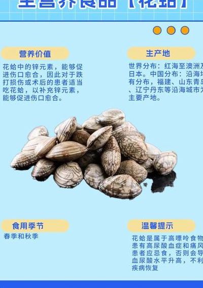 关于花蛤肚子去屎的过程的信息
