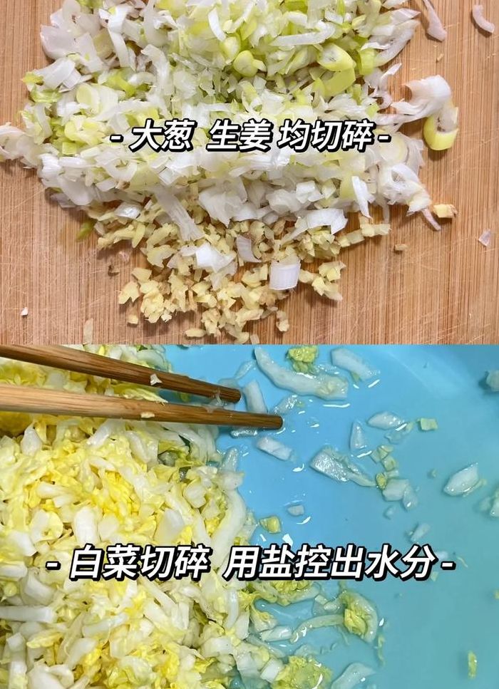 猪肉白菜饺子馅怎么调（猪肉白菜饺子馅怎么调字体）