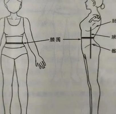 测量腰围的正确方法（测量腰围正确方法图示）