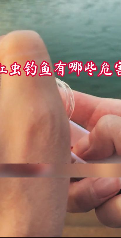 红虫钓鱼真的危险吗（红虫钓鱼真的危险吗图片）