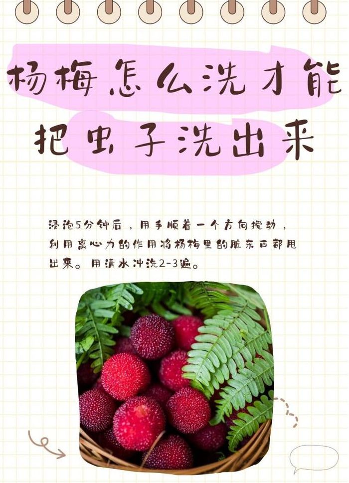 杨梅怎样清洗（杨梅怎样清洗能洗出虫子）