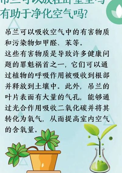 吊兰能放在卧室吗（放在卧室里的花和植物有哪些）