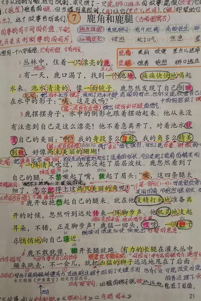 鹿角和鹿腿（鹿角和鹿腿课堂笔记图片）