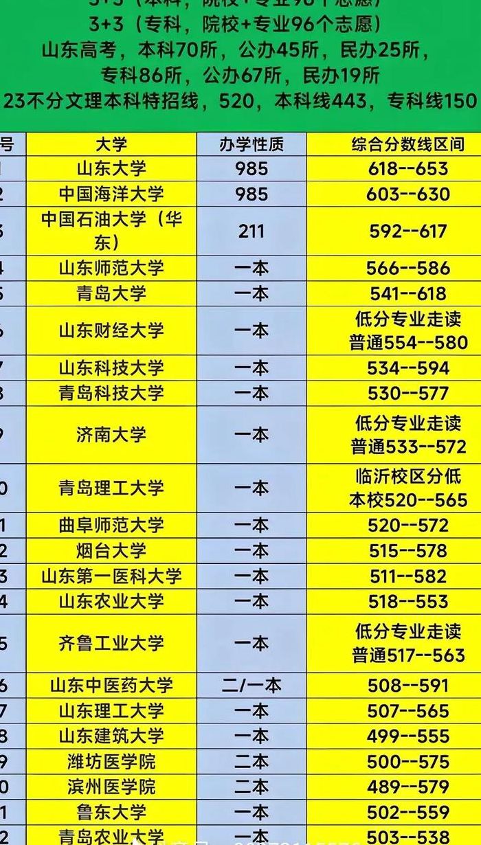 山东省高校排名（山东民办高校排名）