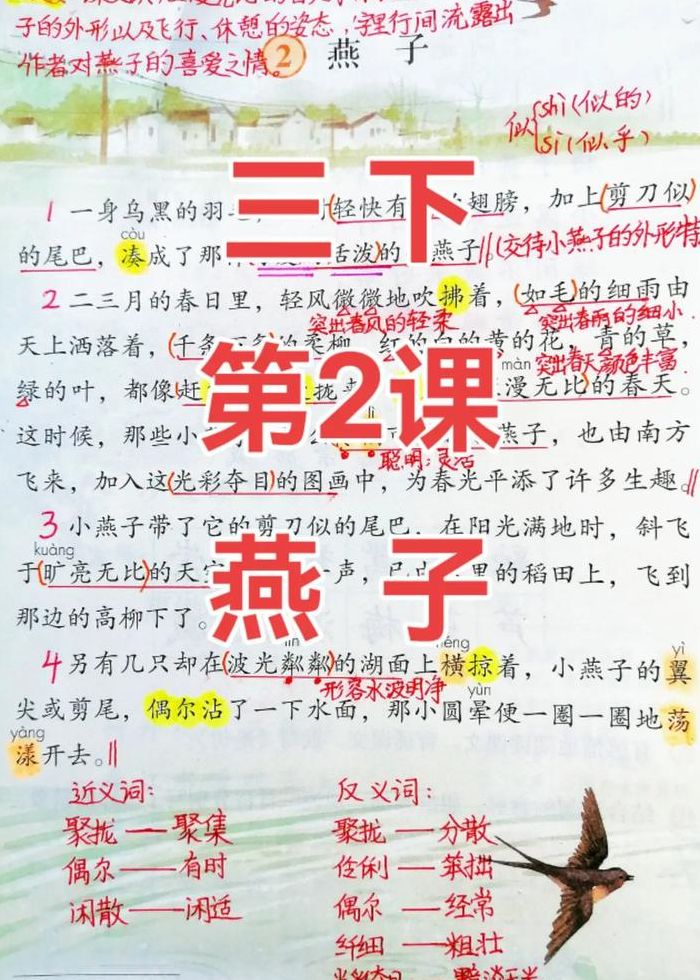 赶集是什么意思（第二课燕子赶集是什么意思）