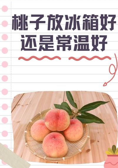 桃子可以放冰箱吗（桃子可以放冰箱吗要保鲜吗）
