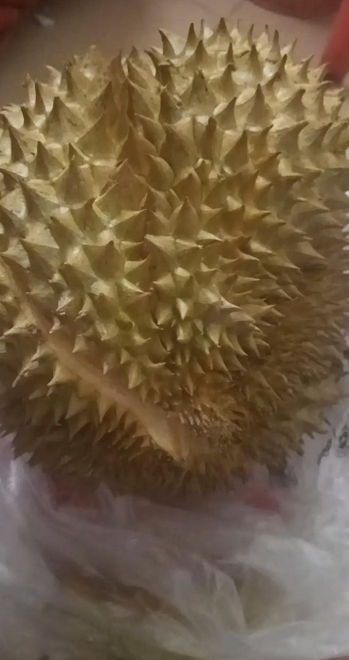 榴莲放了5天还没裂开（榴莲放了5天还没裂开是坏了吗 榴莲放到多久能吃）