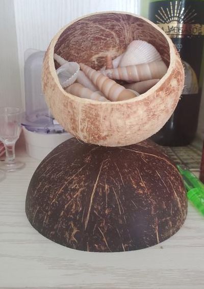 椰子壳可以做什么（椰子壳可以做什么吃的）