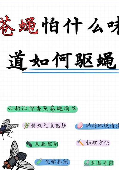 驱赶苍蝇的声音（驱赶苍蝇的声音怎么形容）