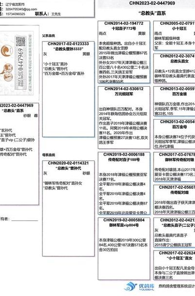 鸽环查询成绩查询（免费查询信鸽足环号）