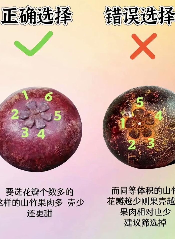 怎样挑山竹（怎样挑山竹没有核）