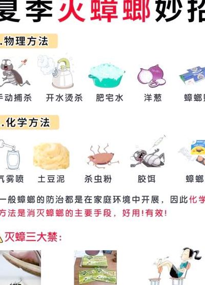 如何灭蟑螂最有效（如何灭蟑螂最有效的方法）