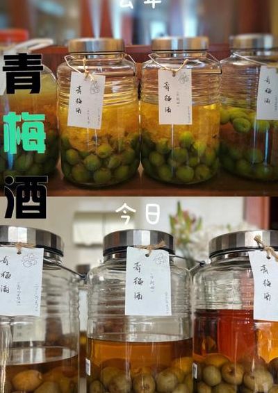 家常泡青梅酒的做法（泡青梅酒的酒是什么酒好）