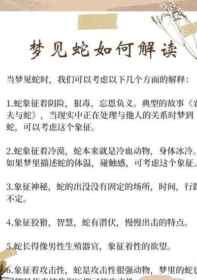 做梦梦到蛇是什么意思（孕妇做梦梦到蛇是什么意思）
