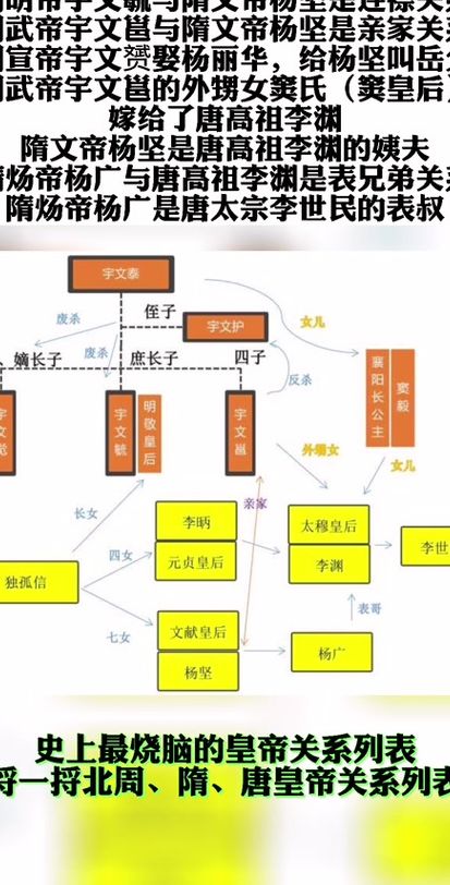 杨坚几个老婆（杨坚几个老婆简历）