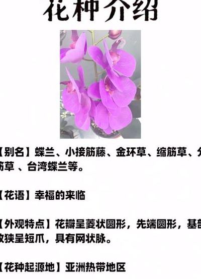 蝴蝶花几点开花（蝴蝶花一般几点开放）